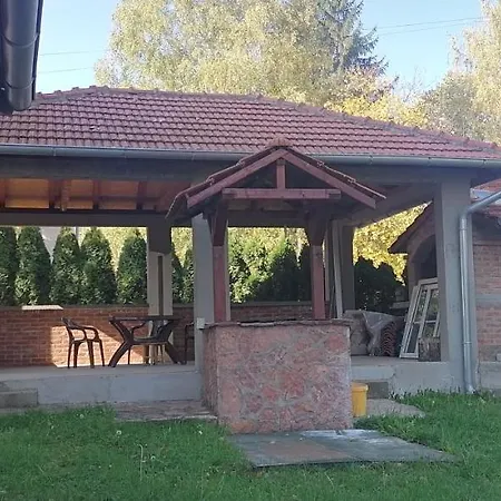 Stefan Soko Banja